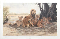 Royal Pride by Charles Frace- Framed consignment - Image 2